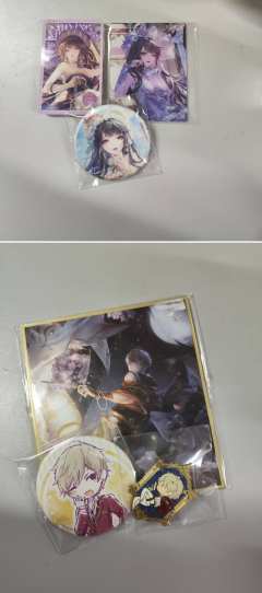 奇暖和闪暖npc卡与徽章