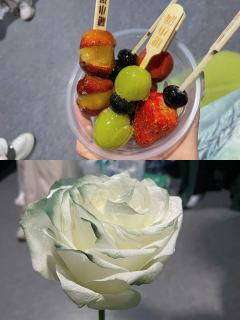 这个世界上没有真正的感同身受，但咏絮会心疼这个世界上的所有咏