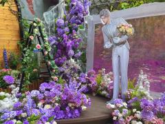 秦彻，生日快乐🎊