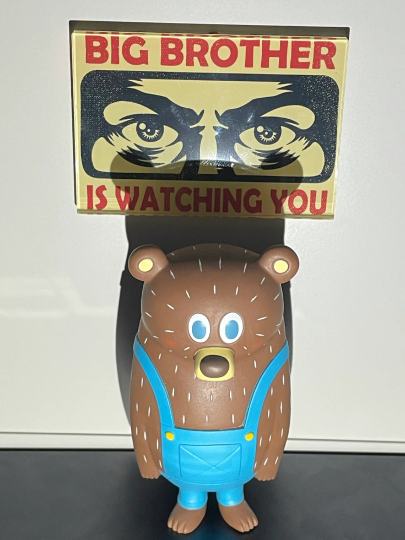 Big bear is watching you......