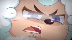 喜猫（中）