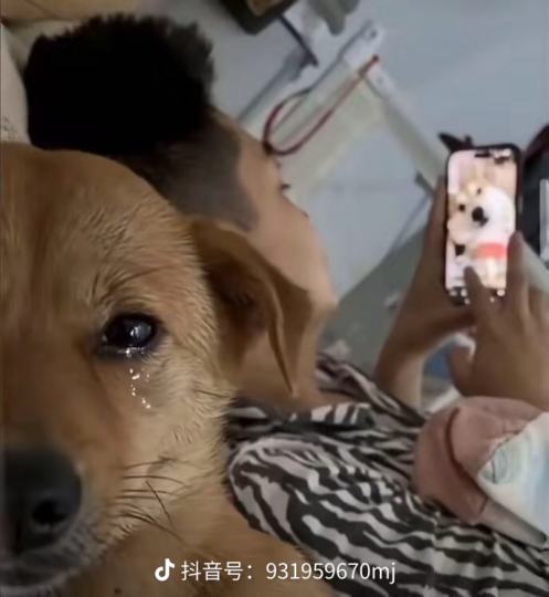 不懂就问，大佬们，流放2新手进去能回本吗，很多人都说是骗猪进去杀，不知道该怎么抉择