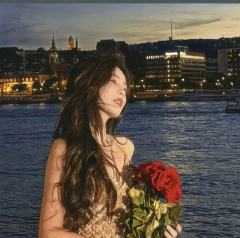 白鹿的精美图片