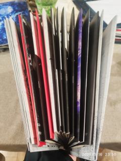 🦋"以诡计承载诡计，于妄想映照现实。于虚假妄想之中，编制诡