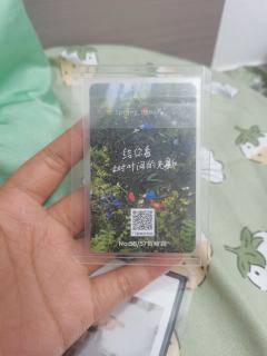 大家可以帮我看一下这是真的还是假的吗？怕被骗在网上买的。谢谢