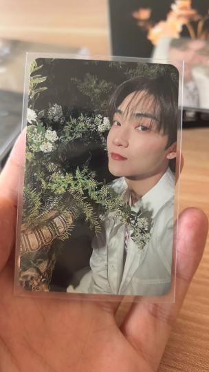虽然不认识，但是还挺好看的