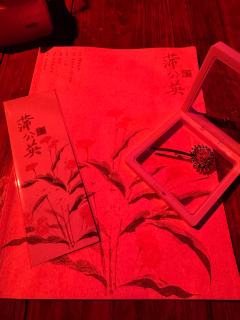 骂声一片的红豆2,意外的体验超好,都去蒙太奇找南西打好吗,长