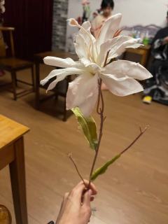 秦风颂——蒙皓的秦律困局与血色救赎
体验地点:上海-虹凤
D