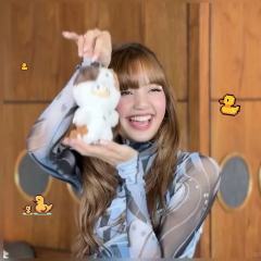 球球Lisa别在宠独角兽了，真的买不起了