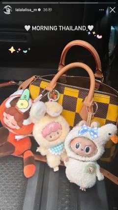 球球Lisa别在宠独角兽了，真的买不起了