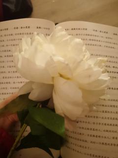 “上天总归没有待我那么差，叫我五百年的祈愿终于成了真。”
体