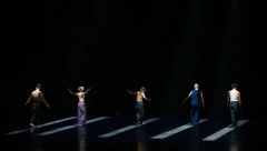 第一次看舞蹈剧，很新奇的一种体验。开场前，有位演员在台上带着