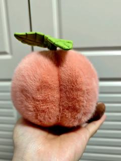 眼尖看到一个小姐姐护着两个桃子，问店员有吗，店员说就剩这两只