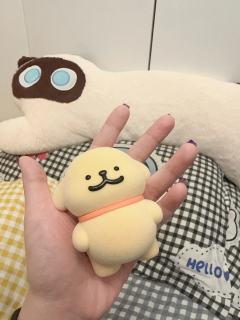 端盒的快乐！第一盒就是大隐藏！小狗狗真的太乖了！