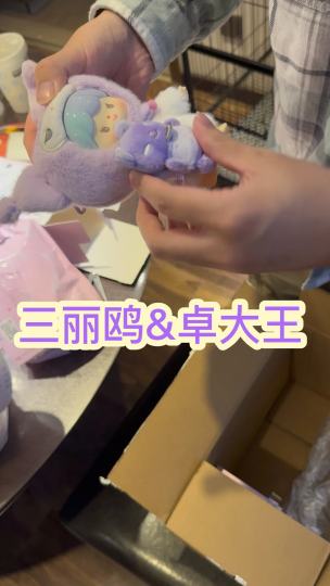 #卓大王三丽鸥联名搪胶毛绒# 从官宣的预告开始就期待啦啊啊，布丁狗实在是太可爱了！对比其他款来说，布丁狗的毛会更加顺滑柔软，直接入手两只！每个成员都和自己的小伙伴紧紧磁吸在一起（包挂记得取下小伙伴哦、