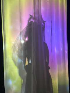 体验剧本《牧神午后》
体验角色:澄
店家:一叶落日
主d(缪