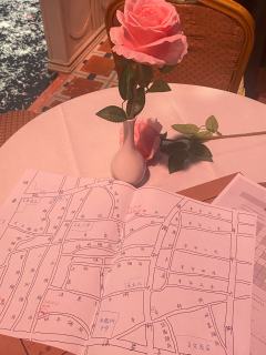 胡同里的连环杀人案 i悬疑i刑侦脑有福了 今天来当上了南槐树