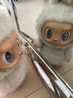 18岁第一只zimomo👼