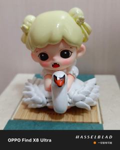 可爱的妹妹白天鹅❤️