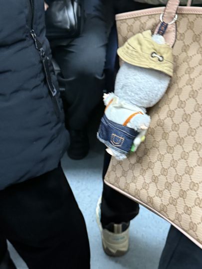 这是春天野的背面吗？有点祛魅了