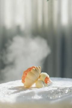 -

嘘🤫…… 星星人睡着了

