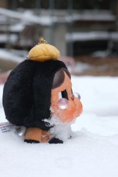 好可爱的两个女鹅哦
👏
雪地里的
就更可啊了
对不啦
