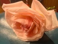 角色：容葵
时长：10.5h
卡司：
DM／NPC玛丽夫人：