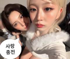 刷子刷子亮刷子