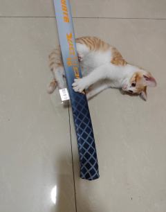 没办法，拗不过孩子喜欢，还是买了，
一顿饭钱的事，又不是买不