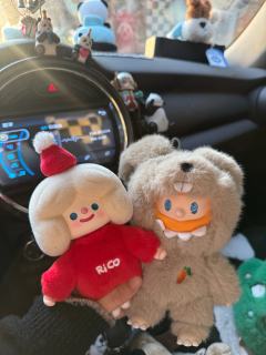 在新的一年里 红红火火