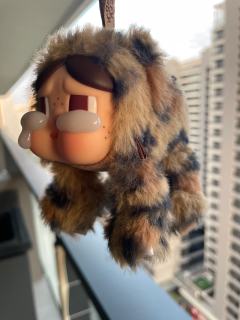 好古怪，好可爱，我感觉我是全网最后一个拥有的了，再也不羡慕你