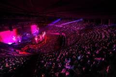 [#今天的Le Serapim]