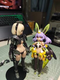 去年拼的，拼完头雕后就被惊艳了，戴眼罩又是另一种飒爽风味儿，