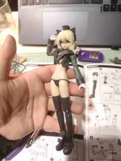 去年拼的，拼完头雕后就被惊艳了，戴眼罩又是另一种飒爽风味儿，