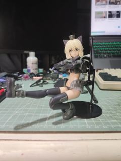 去年拼的，拼完头雕后就被惊艳了，戴眼罩又是另一种飒爽风味儿，