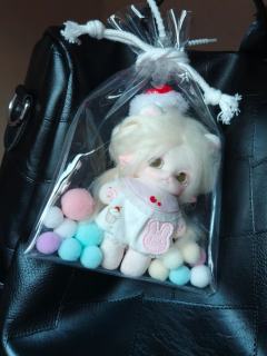 在她上线的第一天高价抽来的，自己亲手打扮的小宝宝，每天在医院