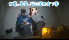 塑料温室这个本，如果完全按照原版手册开的话，我觉得挺一般的
