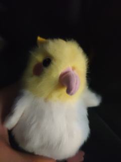 塑料温室这个本，如果完全按照原版手册开的话，我觉得挺一般的
