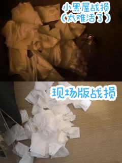 走出记忆宫殿，回头，两道声音重合。
记住我的名字，我叫……
