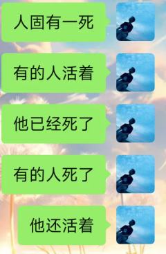走出记忆宫殿，回头，两道声音重合。
记住我的名字，我叫……
