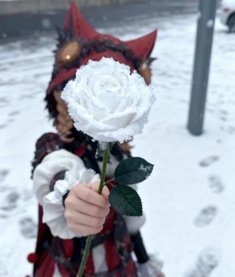 有没有这样的口令呀꒦ິ^꒦ິ