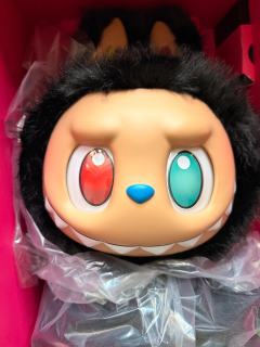 接大儿回家喽，毛发黑得发亮，开箱目测无瑕很安心哈哈哈浓眉大眼