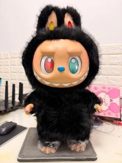 接大儿回家喽，毛发黑得发亮，开箱目测无瑕很安心哈哈哈浓眉大眼