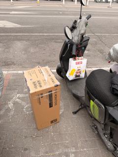 接大儿回家喽，毛发黑得发亮，开箱目测无瑕很安心哈哈哈浓眉大眼