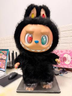 接大儿回家喽，毛发黑得发亮，开箱目测无瑕很安心哈哈哈浓眉大眼