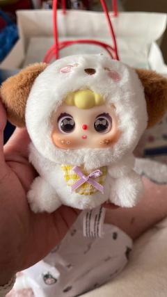 想要抽自己的生肖款，没抽到抽了只可爱的小狗，眼睛还能换很可爱