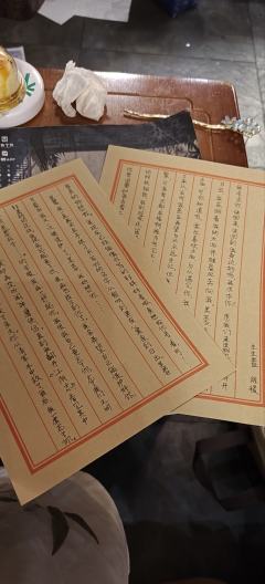 特别特别特别好玩，陈明遇和阎应元是世界上最最最最最最最最最最