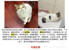 丹妮：希望早日找回小猫“哥哥”
失忆：对于如何有腔调的喝咖啡