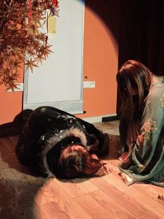 DM 桃江（饰：宇宙无敌可爱小肆）
DM小姚（饰：中州大陆最