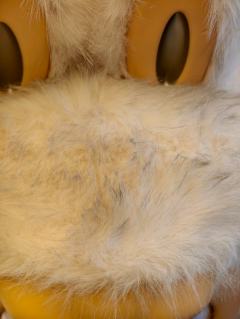 爆毛银渐层，新款大天使